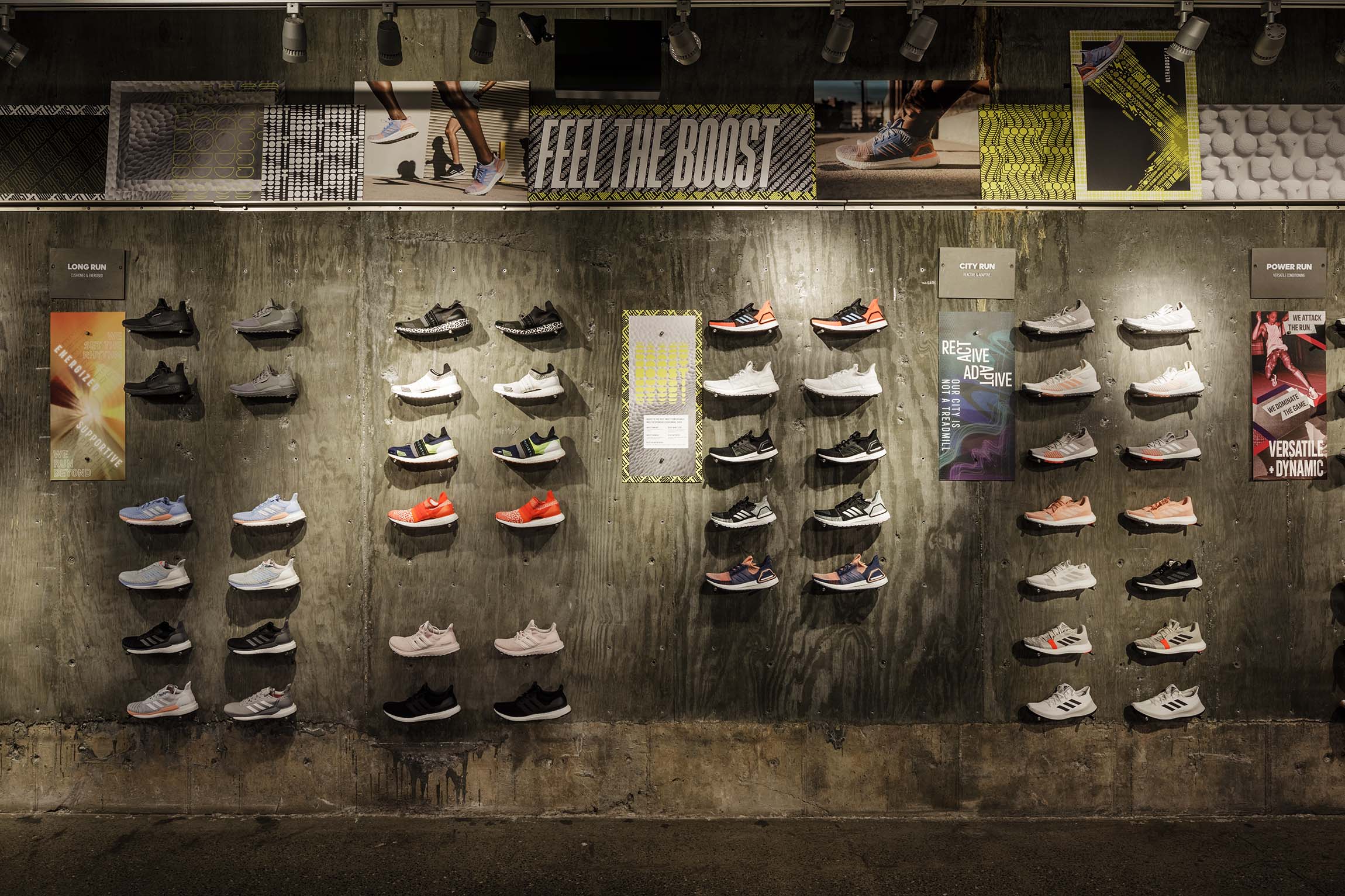 Session Illustration portrait